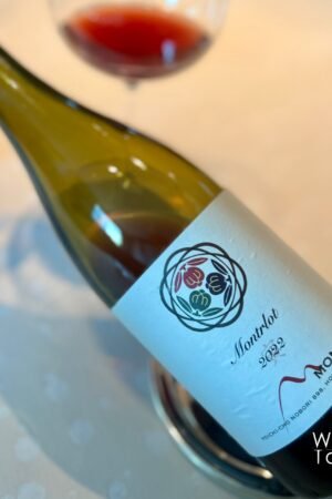 Domaine Mont Montrlot 2023 - 750ml